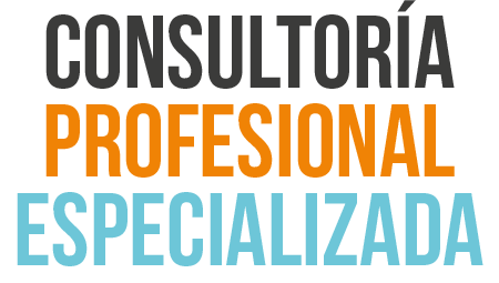 Consultoría Profesional Especializada